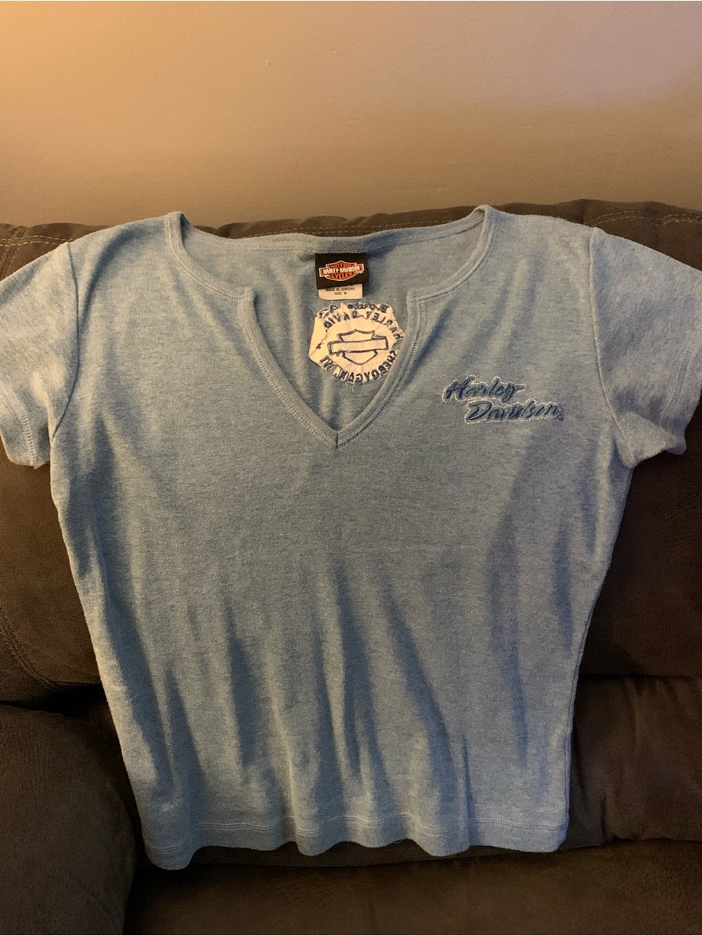 Harley-Davidson Light Blue V-Neck Tee with Script Logo